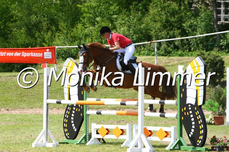 204M4064_Lady in Red_Spring_L.JPG